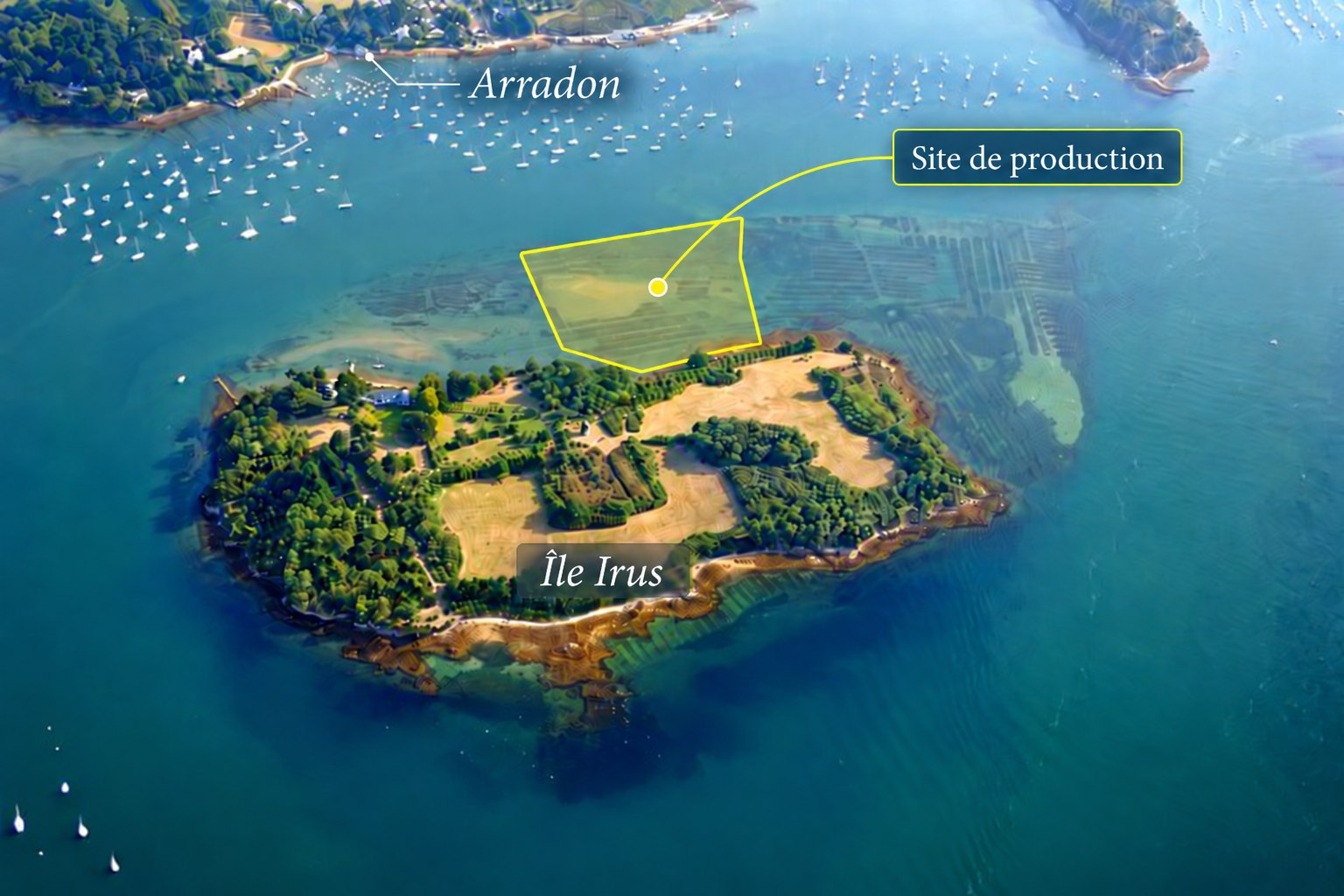 Vue aérienne de l'île d'Irus à Arradon, Golfe du Morbihan
